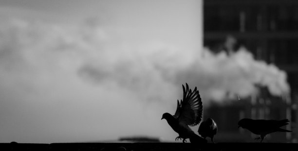 的飞行图片下载