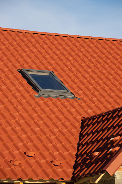 新的屋顶结构，阁楼天窗，雨水排水沟系统，屋顶窗户和屋顶保护，防雪板，防雪外墙图片下载