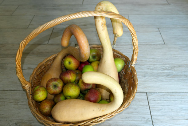 柳条篮里有苹果、冬瓜和南瓜图片下载