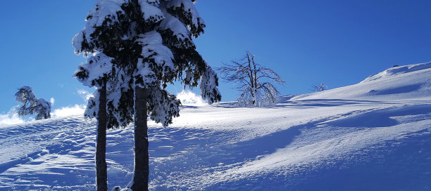 冬天的童话图片下载