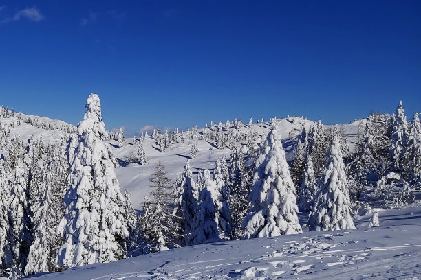 冬天的童话图片下载