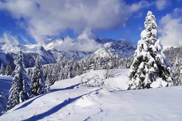 冬天的童话图片下载