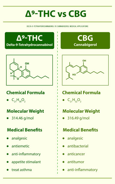 9- thc vs CBG, Delta 9四氢大麻酚vs大麻igerol垂直信息图完整图片下载