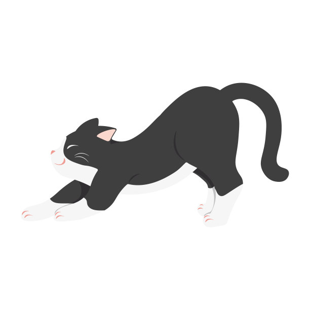 黑色和白色的可爱的小猫伸展。图片下载