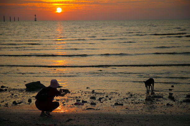 海滩上的日落图片下载