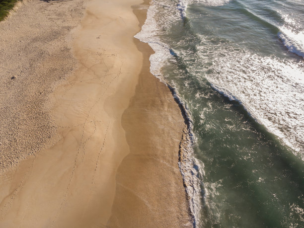 鸟瞰普拉尼哈海滩，这是巴西里约热内卢西侧的天堂。绿色的海浪和沙滩。前视图。黎明的晴天。无人驾驶飞机的照片图片下载