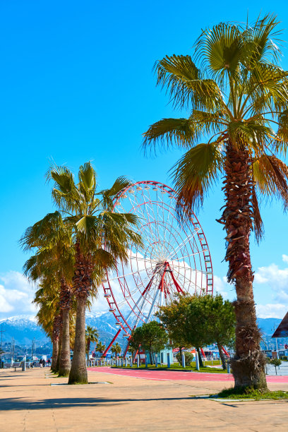 巴统市堤岸上的摩天轮。美丽的城市和山脉图片下载