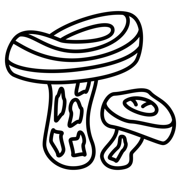 珊瑚乳帽。两个蘑菇，一个采蘑菇的地方，美味的蘑菇吃。可食用的蘑菇森林。矢量图标，离线，隔离图片下载