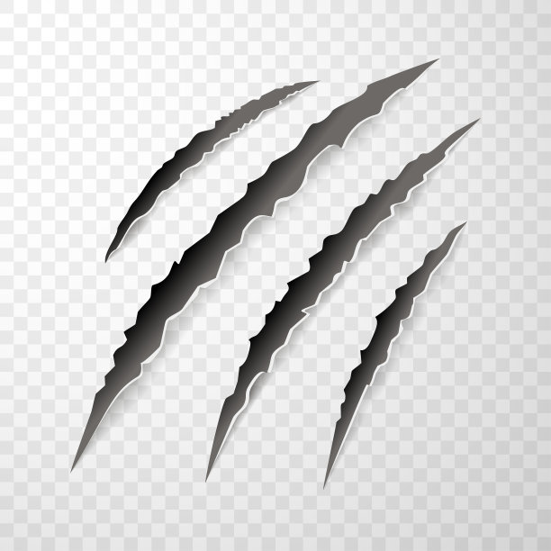 动物爪上的爪印、抓痕、爪子割伤猫、虎、狗、狮子、怪兽孤立。图片下载