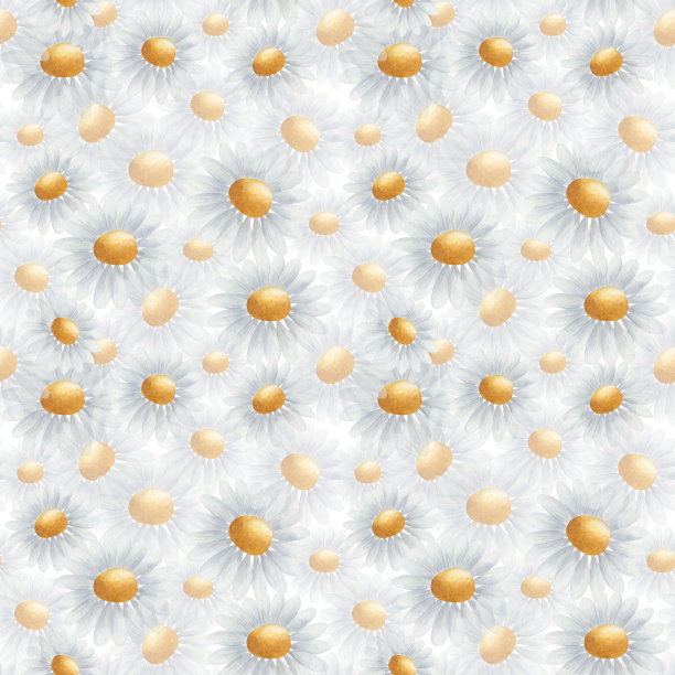 水彩无缝图案从手绘插图的甘菊花，蓝色，黄色雏菊盛开。花卉自然印花在白色背景为春季，夏季织物纺织品，婚礼图片下载