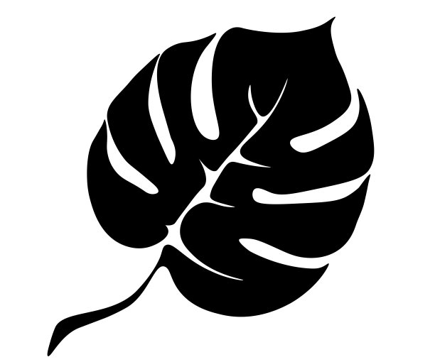 蓬莱蕉图片下载