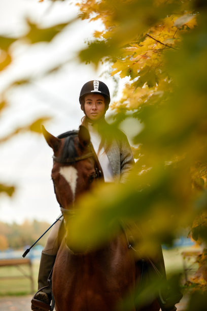 美丽的黑发骑在马背上的秋天的风景。骑马，积极的骑马图片下载