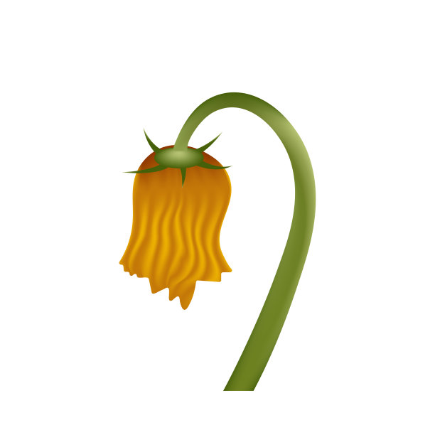 枯萎的橙色花矢量表情符号插图图片下载