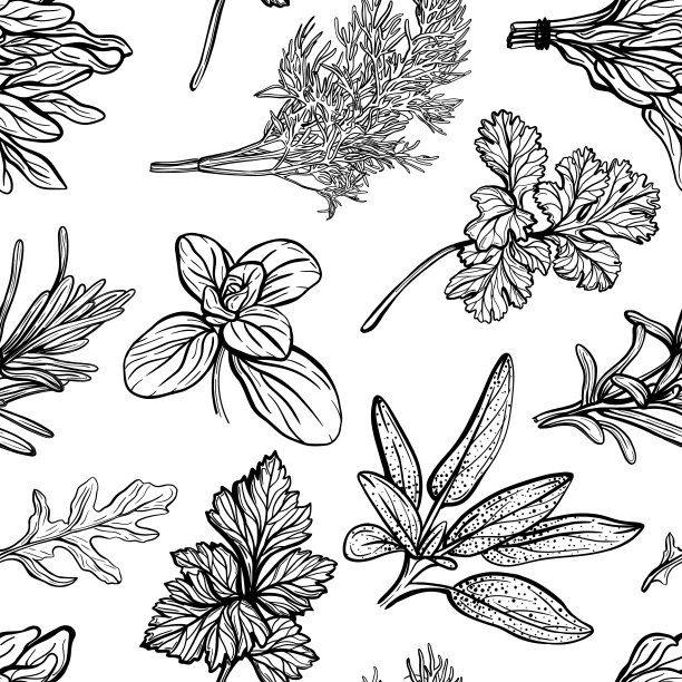 调味料的模式。芳香的香料，健康的草药图片下载