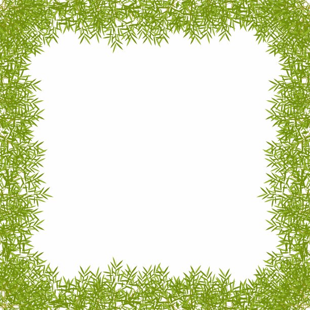 竹叶框架-白色背景图片下载
