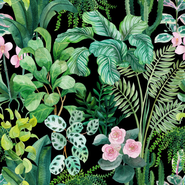 水彩花卉无缝图案与家庭热带植物。花的背景图片下载