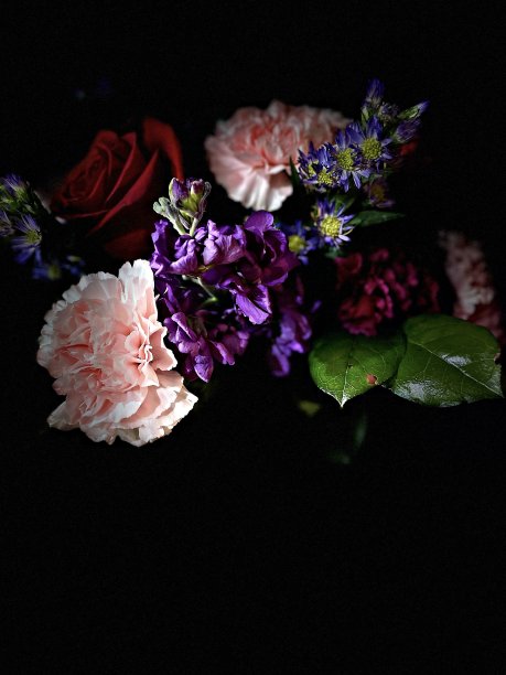 一束美丽的鲜花孤立在黑色的背景-股票照片图片下载