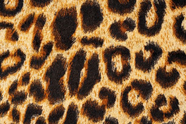 豹纹面料图片下载