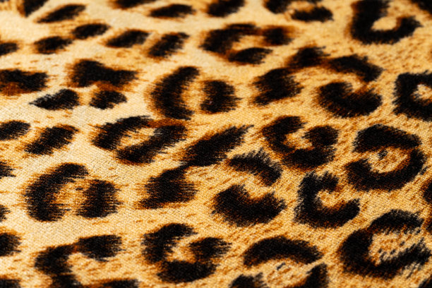 豹纹面料图片下载
