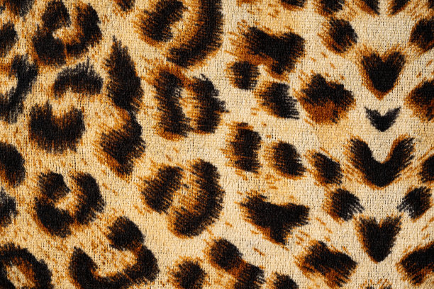 豹纹面料图片下载