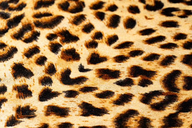 豹纹面料图片下载