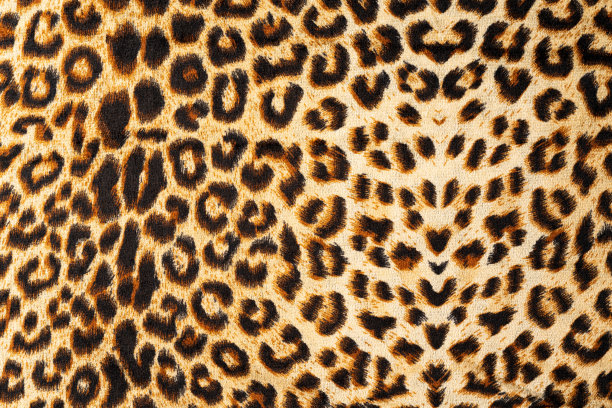豹纹面料图片下载