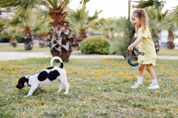 可爱的女孩和一只漂亮的狗在家里的花园里散步图片下载