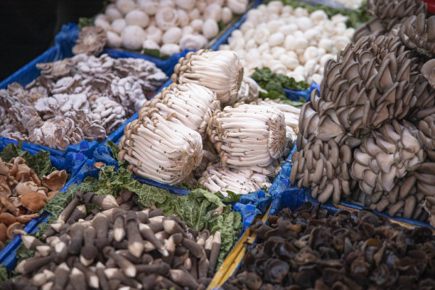 云南的野生蘑菇图片下载