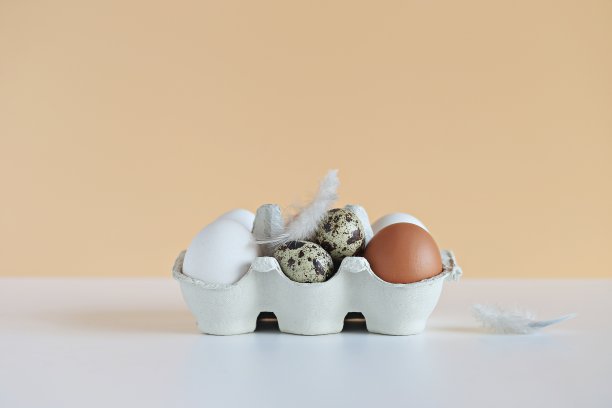 鸡肉和鹌鹑蛋在环保包装上的浅色粉彩背景。图片下载