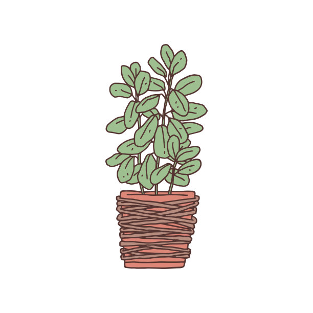 榕树盆栽植物。室内盆栽植物矢量轮廓涂鸦插图。图片下载