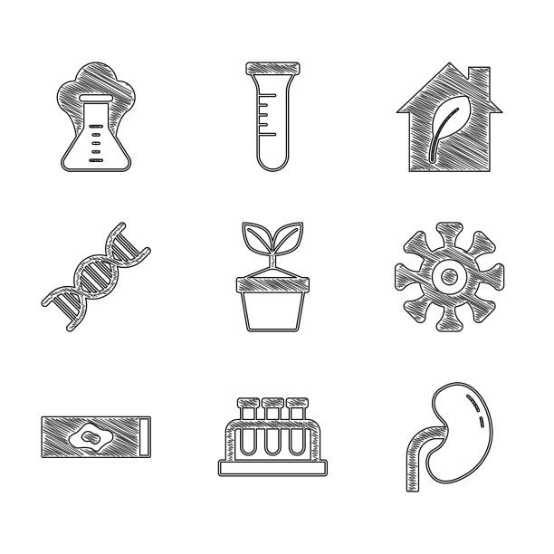 在试管和烧瓶中放置植物图片下载