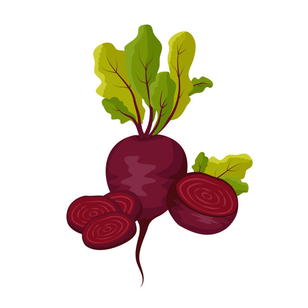 红甜菜图标。整个健康的蔬菜，一半和绿叶顶部图片下载