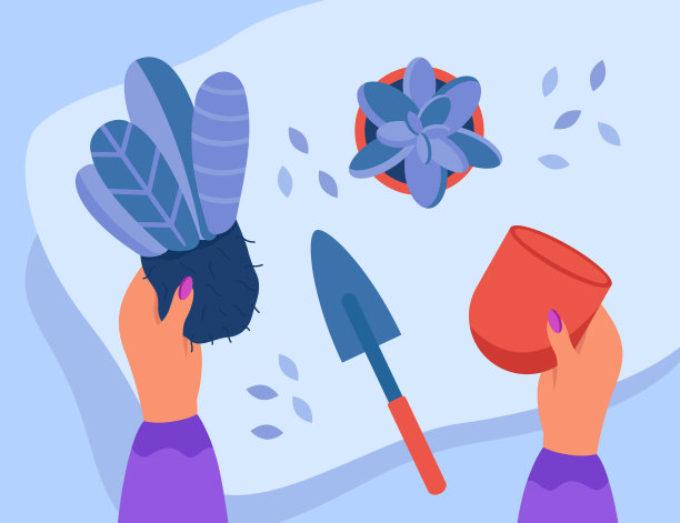 花匠或园丁将带有土壤的植物放入花盆的手图片下载