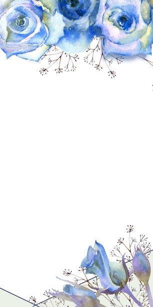 框花水彩插图。蓝色玫瑰在白色孤立的背景。鲜艳的鲜花，树叶，婚礼文具，问候，壁纸，时尚，背景，纹理，包装图片下载