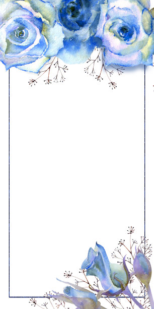 框花水彩插图。蓝色玫瑰在白色孤立的背景。鲜艳的鲜花，树叶，婚礼文具，问候，壁纸，时尚，背景，纹理，包装图片下载
