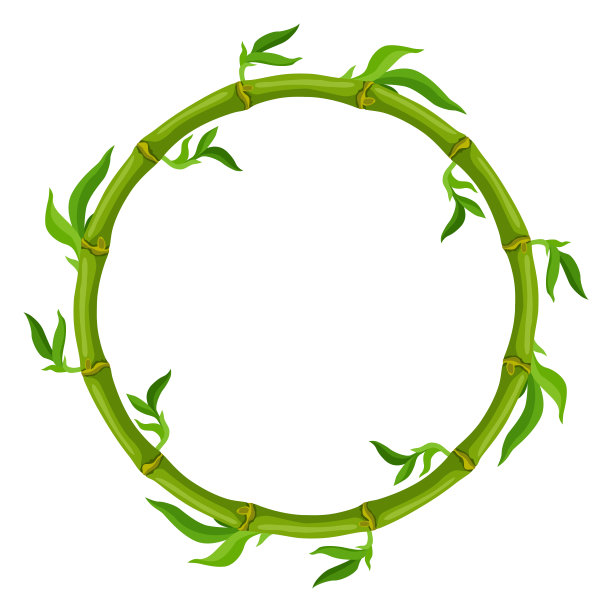 框架采用绿色竹叶茎。热带丛林中的装饰性外来植物。图片下载