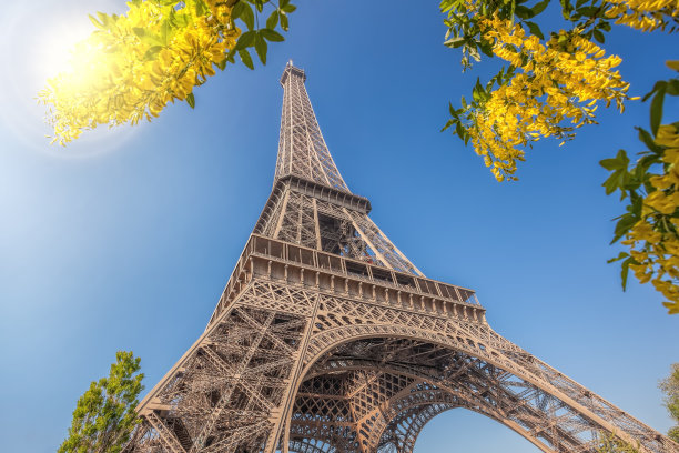 法国巴黎的埃菲尔铁塔，春天的树木映着蓝天图片下载