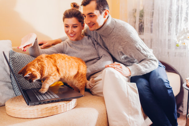 家庭夫妇和猫咪在家里用笔记本电脑看视频。金格宠物坐在沙发上看屏幕图片下载