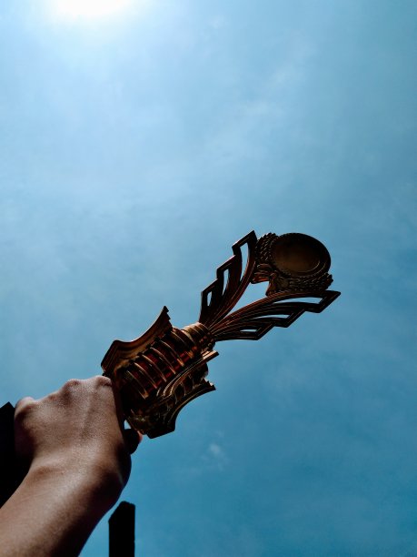 我从书房拿回来的奖杯图片下载