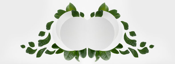 清新的夏日花式白色圆形抽象图形，热带绿叶飞舞的流动，品牌空白框架，标志设计，贴纸，吊牌，销售，广告，自然生态风格。图片下载