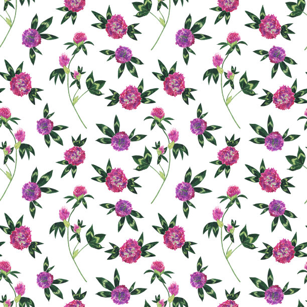 无缝图案的红色三叶草花枝在白色背景上。、植物。纺织品水彩手绘插图。图片下载