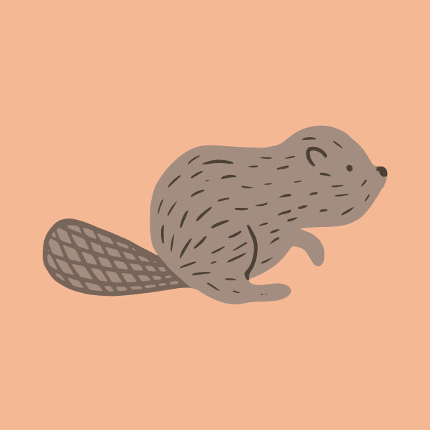 向量海狸。可爱的手绘卡通动物。平面元素为您的设计，完美的卡片，贴纸，海报，包装，t短印刷或婴儿布。图片下载