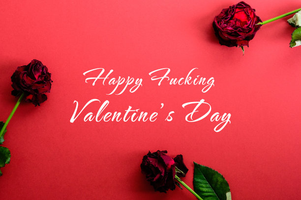 情人节快乐。红色背景上的干玫瑰。情人节卡片的设计。图片下载