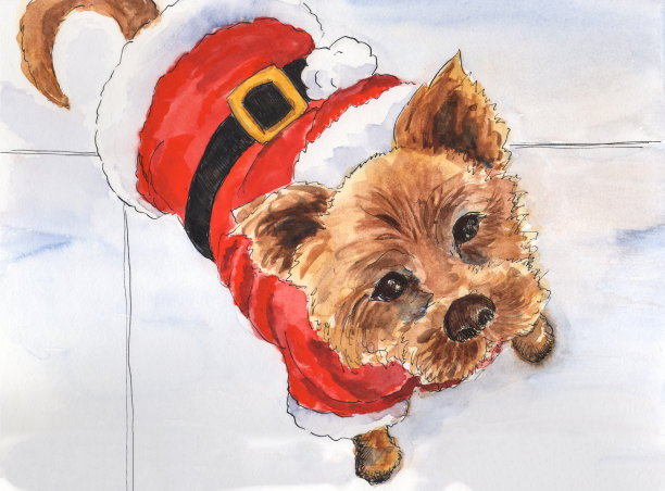 圣诞狗图片下载