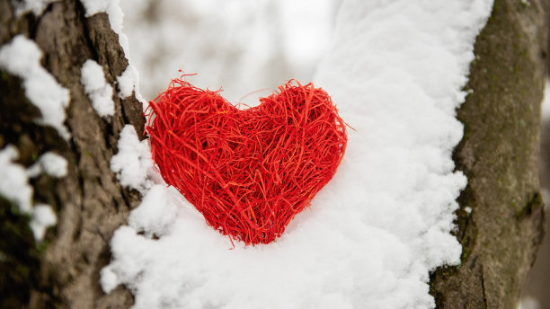 在白雪皑皑的雪地上，一颗藤蔓红心映衬着一片雪白的森林。爱的节日贺卡图片下载