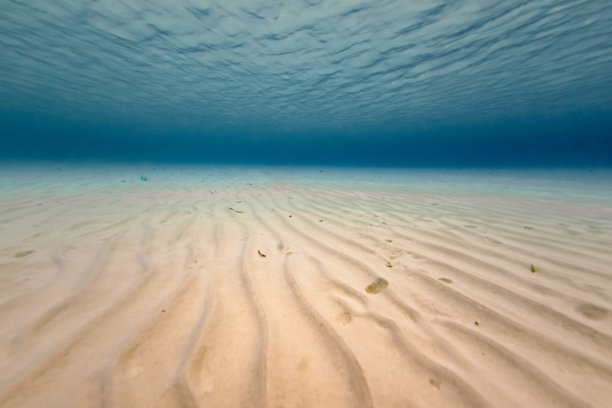 加勒比海蓝色海洋的水下分割镜头图片下载