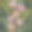 奇异的热带pattren。热带花和叶背景。百合花，蝴蝶，棕榈叶。手绘3d插图。深色的热带树叶墙纸。图片下载