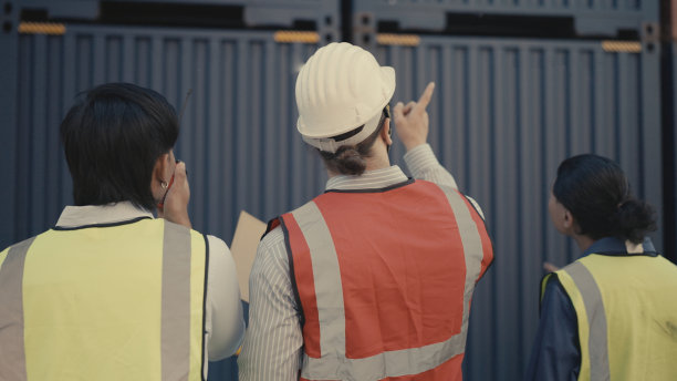 多民族工业组织检查在港口工作的集装箱。图片下载