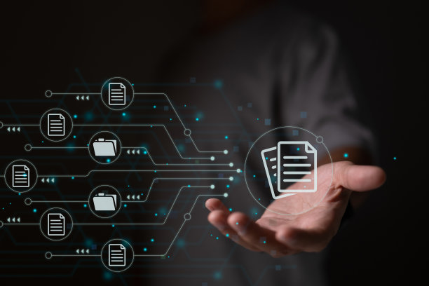 文件管理系统。商业文件存档软件。图片下载