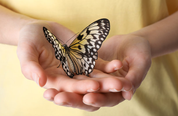 女人拿着美丽的宣纸蝴蝶在白色的背景，特写图片下载